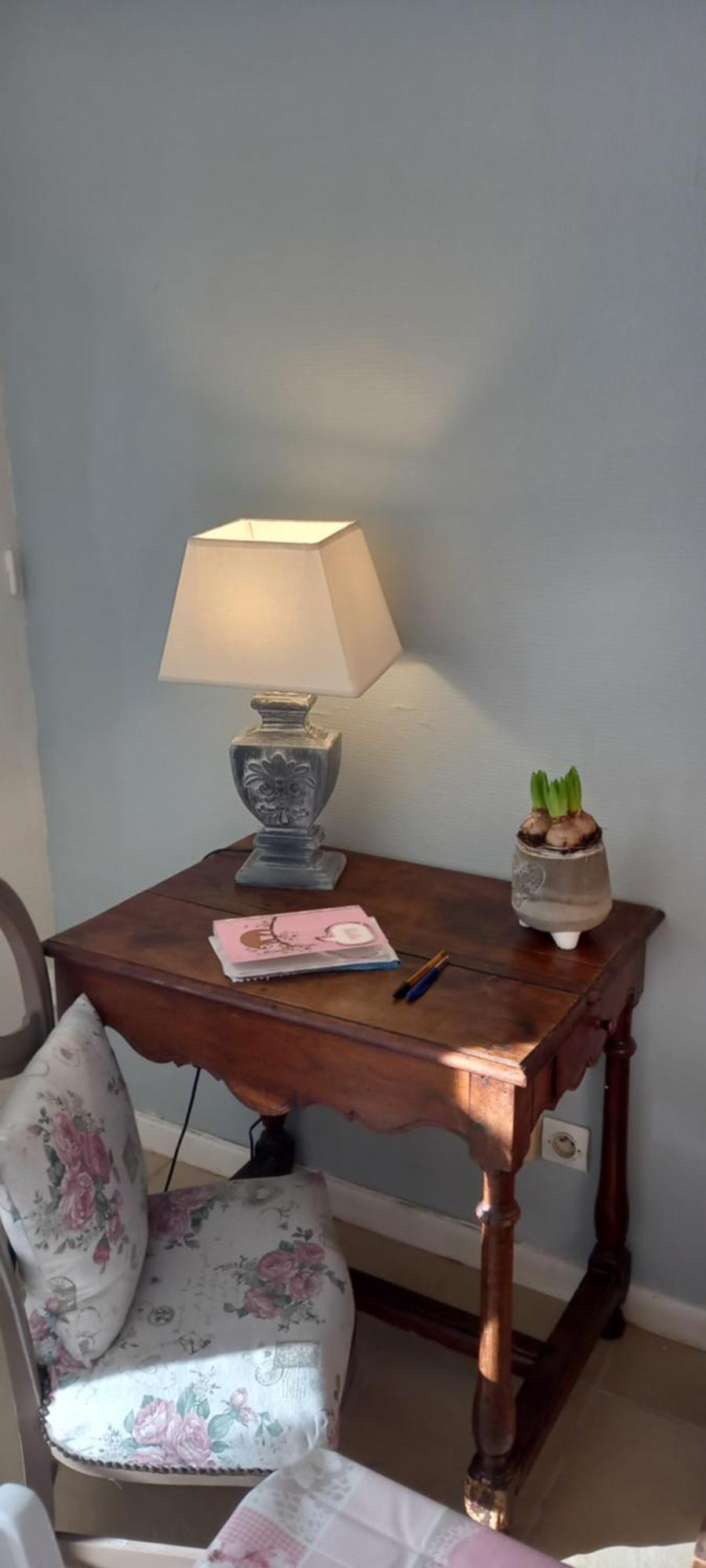 Bed and Breakfast Les Demeures De La Laigne Allas-Bocage Екстер'єр фото