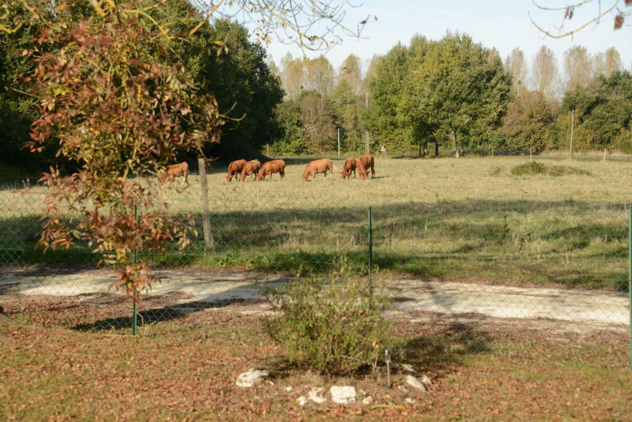 Bed and Breakfast Les Demeures De La Laigne Allas-Bocage Екстер'єр фото
